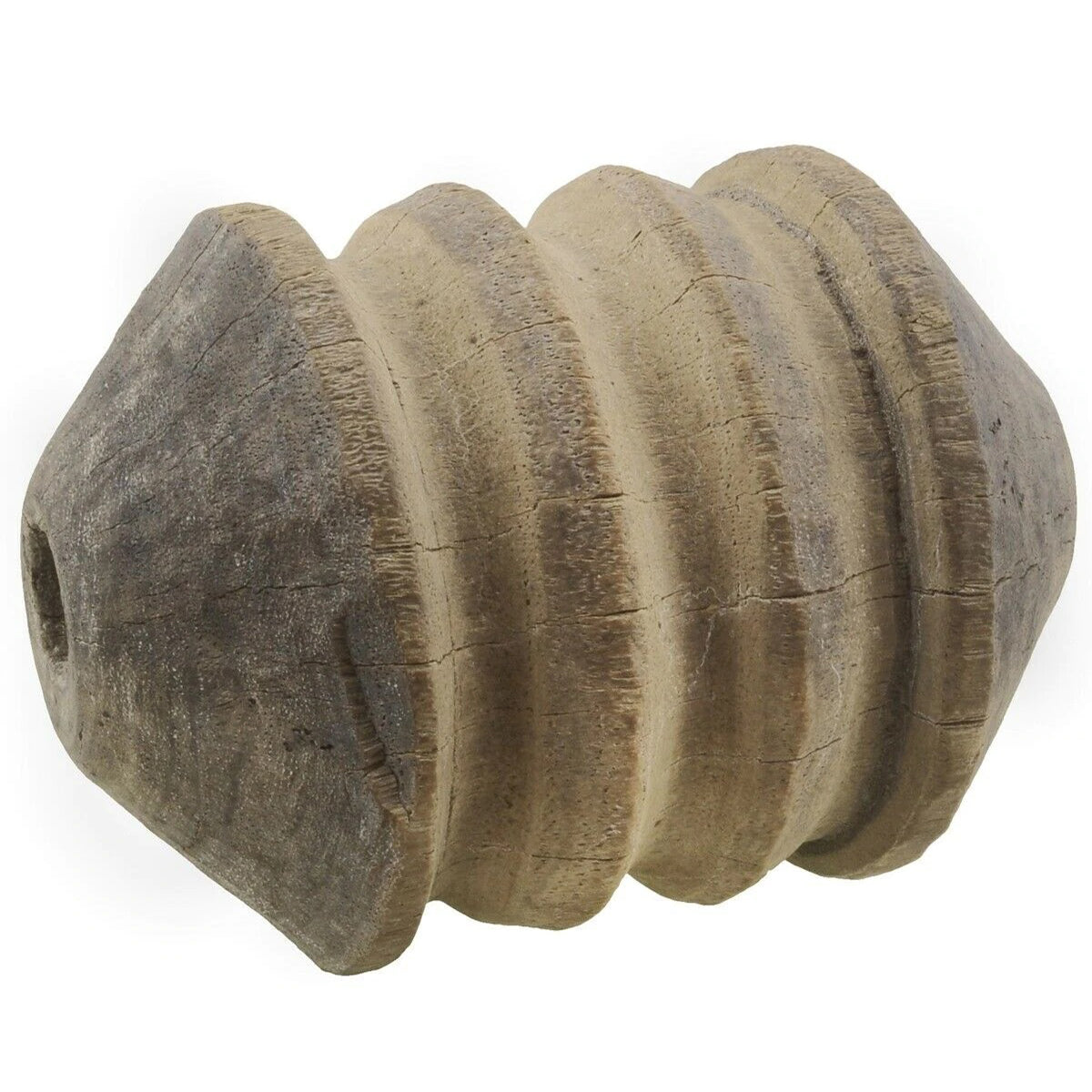 Authentic Tuareg Wooden Well Pulley – Small 13 cm × 10 cm