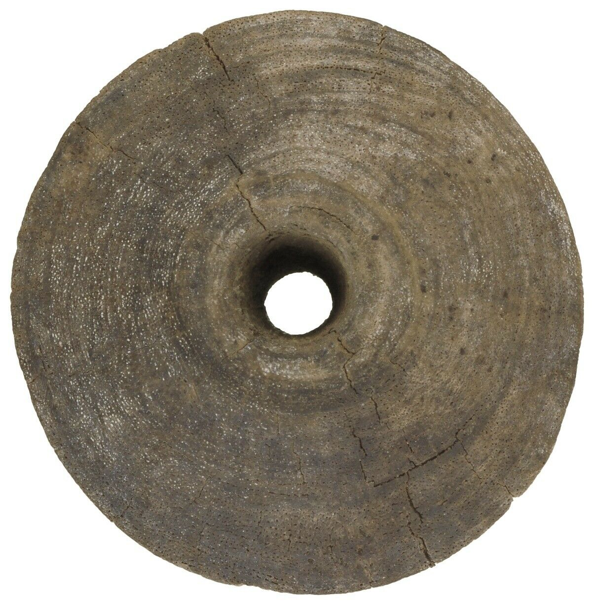 Authentic Tuareg Wooden Well Pulley – Small 13 cm × 10 cm