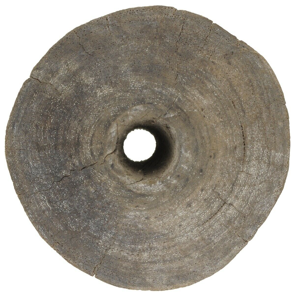 Authentic Tuareg Wooden Well Pulley – Small 13 cm × 10 cm
