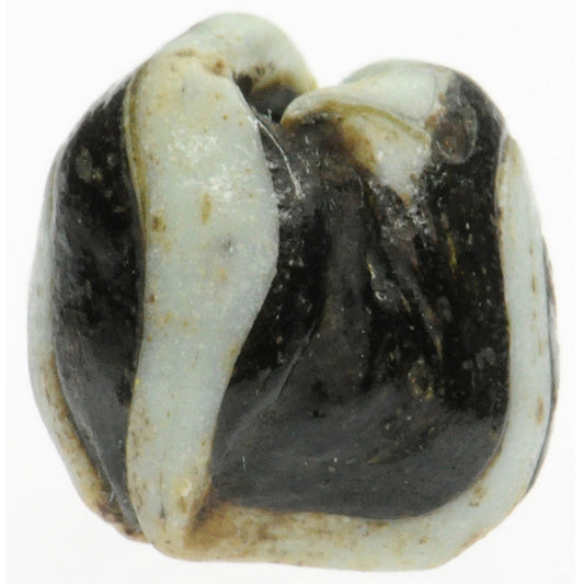 Antique Black & White Folded Glass Bead - Fustat, 1200 Ad